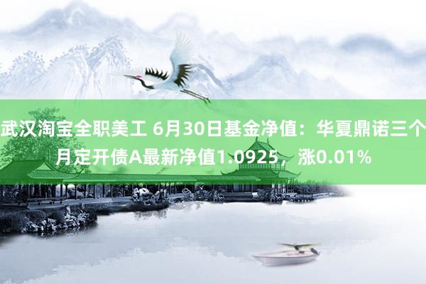 武汉淘宝全职美工 6月30日基金净值：华夏鼎诺三个月定开债A最新净值1.0925，涨0.01%