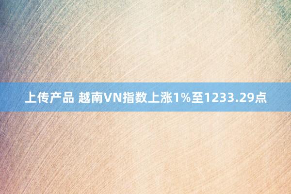 上传产品 越南VN指数上涨1%至1233.29点