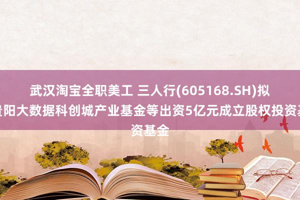 武汉淘宝全职美工 三人行(605168.SH)拟携贵阳大数据科创城产业基金等出资5亿元成立股权投资基金