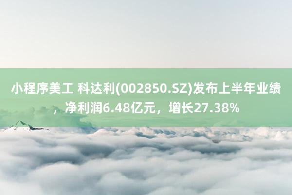 小程序美工 科达利(002850.SZ)发布上半年业绩，净利润6.48亿元，增长27.38%