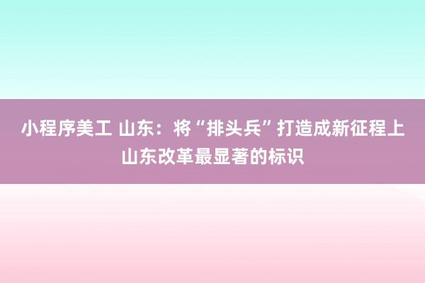 小程序美工 山东：将“排头兵”打造成新征程上山东改革最显著的标识