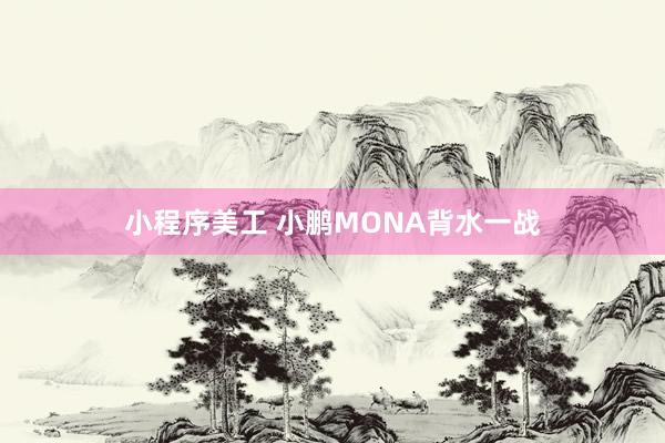 小程序美工 小鹏MONA背水一战